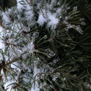 Meet your Posher, Reecemarie